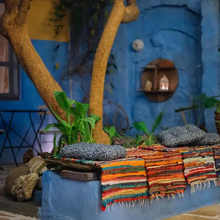 Mayelia ηouse In The Old Town