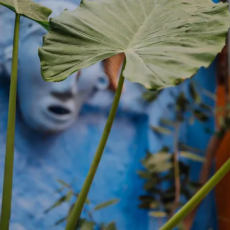 Mayelia ηouse In The Old Town Rhodes City