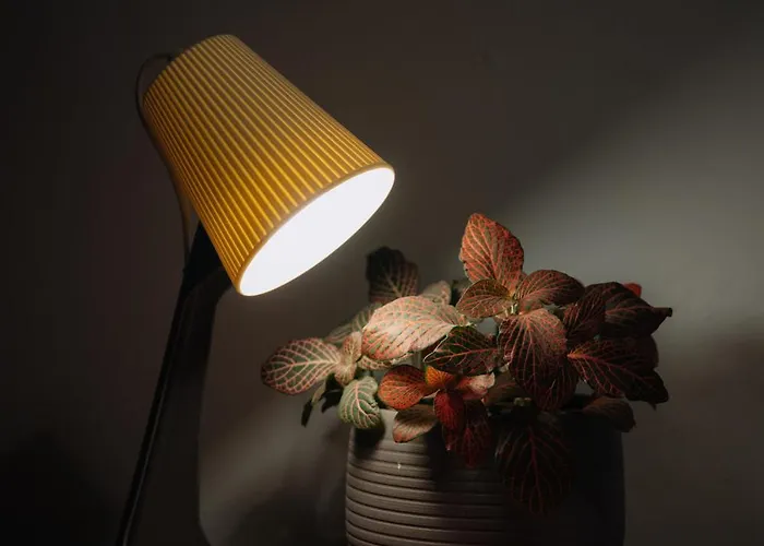 Casa de Férias Mayelia Cozy House In The Medieval Town Rhodes City