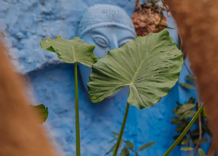Mayelia Cozy House In The Medieval Town Casa de Férias