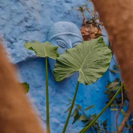Mayelia Cozy House In The Medieval Town בית נופש